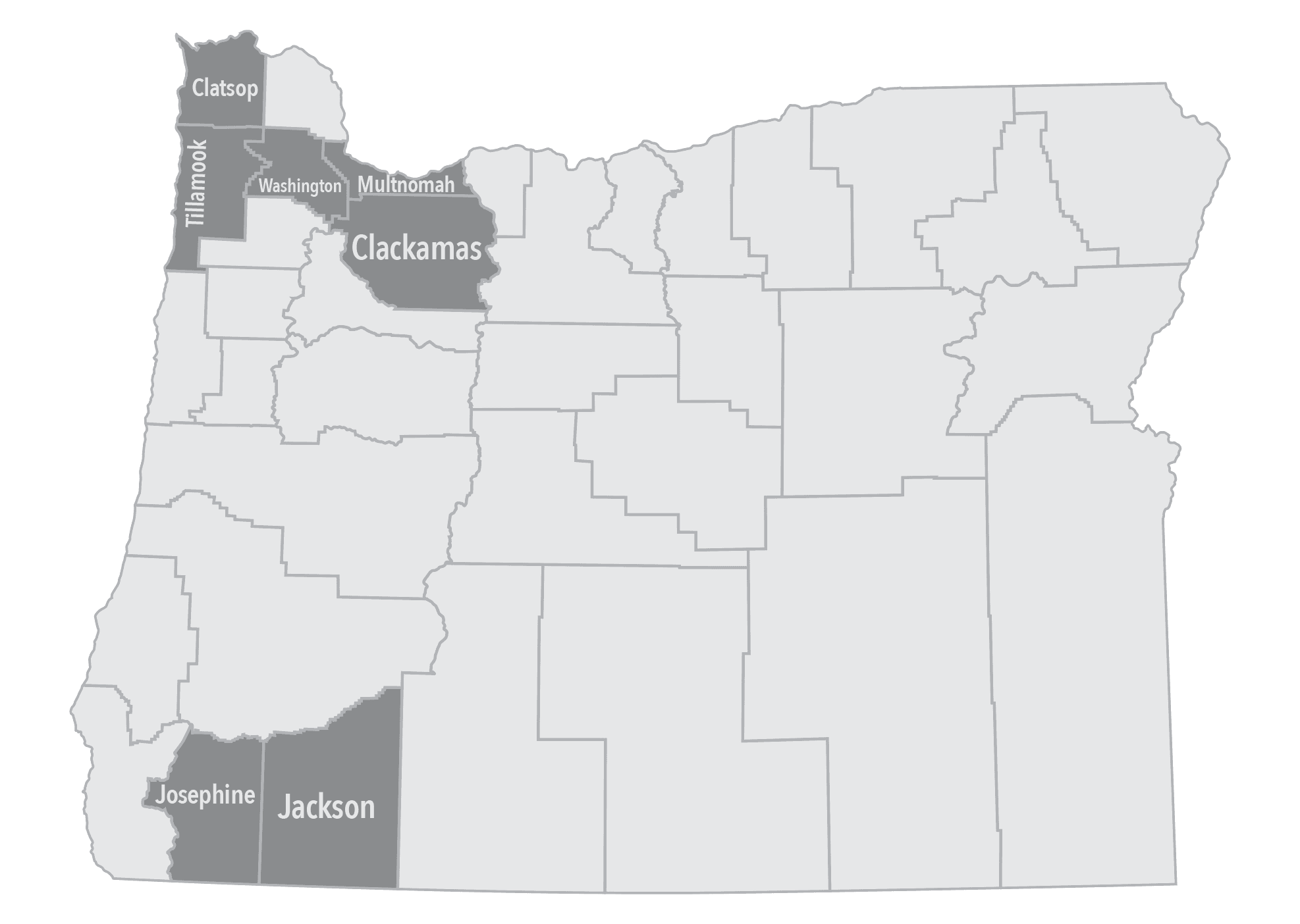 Image illustrating the topic of the article.