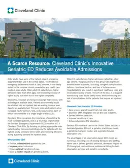 Downloadable asset preview image