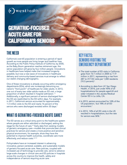 Downloadable asset preview image