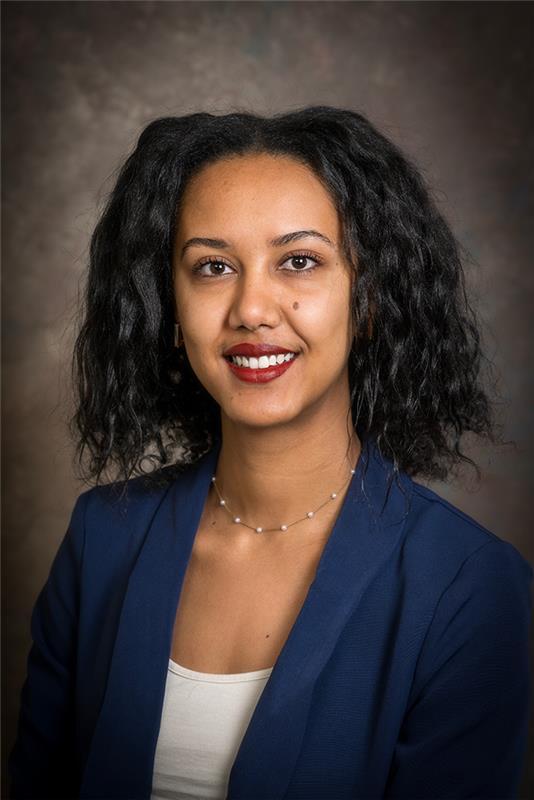 Mihret Walelgne Menberu author image